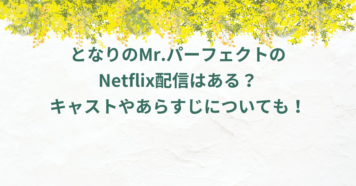 となりのMr.パーフェクトのNetflix配信はある？キャストやあらすじについても！